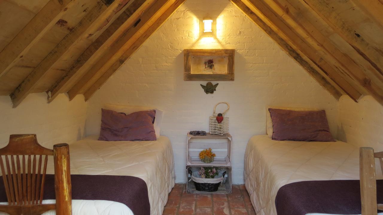 Cielito Mexicano Otel San Francisco del Rincón Dış mekan fotoğraf