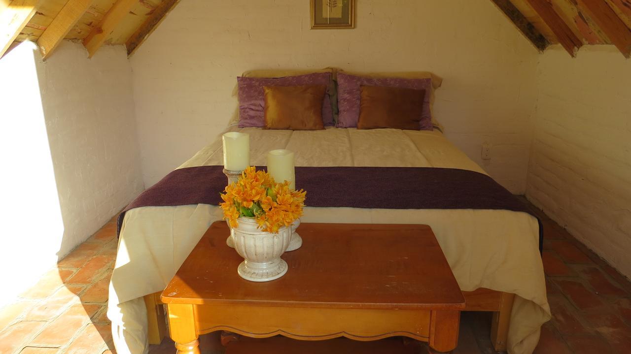 Cielito Mexicano Otel San Francisco del Rincón Dış mekan fotoğraf