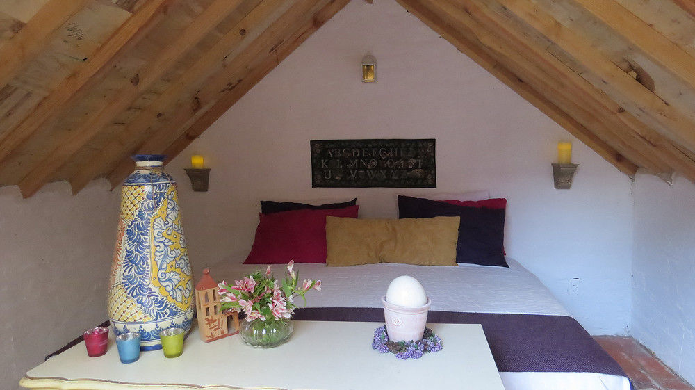 Cielito Mexicano Otel San Francisco del Rincón Dış mekan fotoğraf