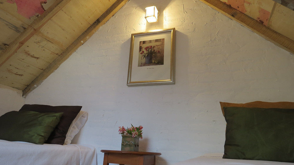Cielito Mexicano Otel San Francisco del Rincón Dış mekan fotoğraf