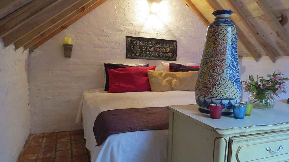 Cielito Mexicano Otel San Francisco del Rincón Dış mekan fotoğraf